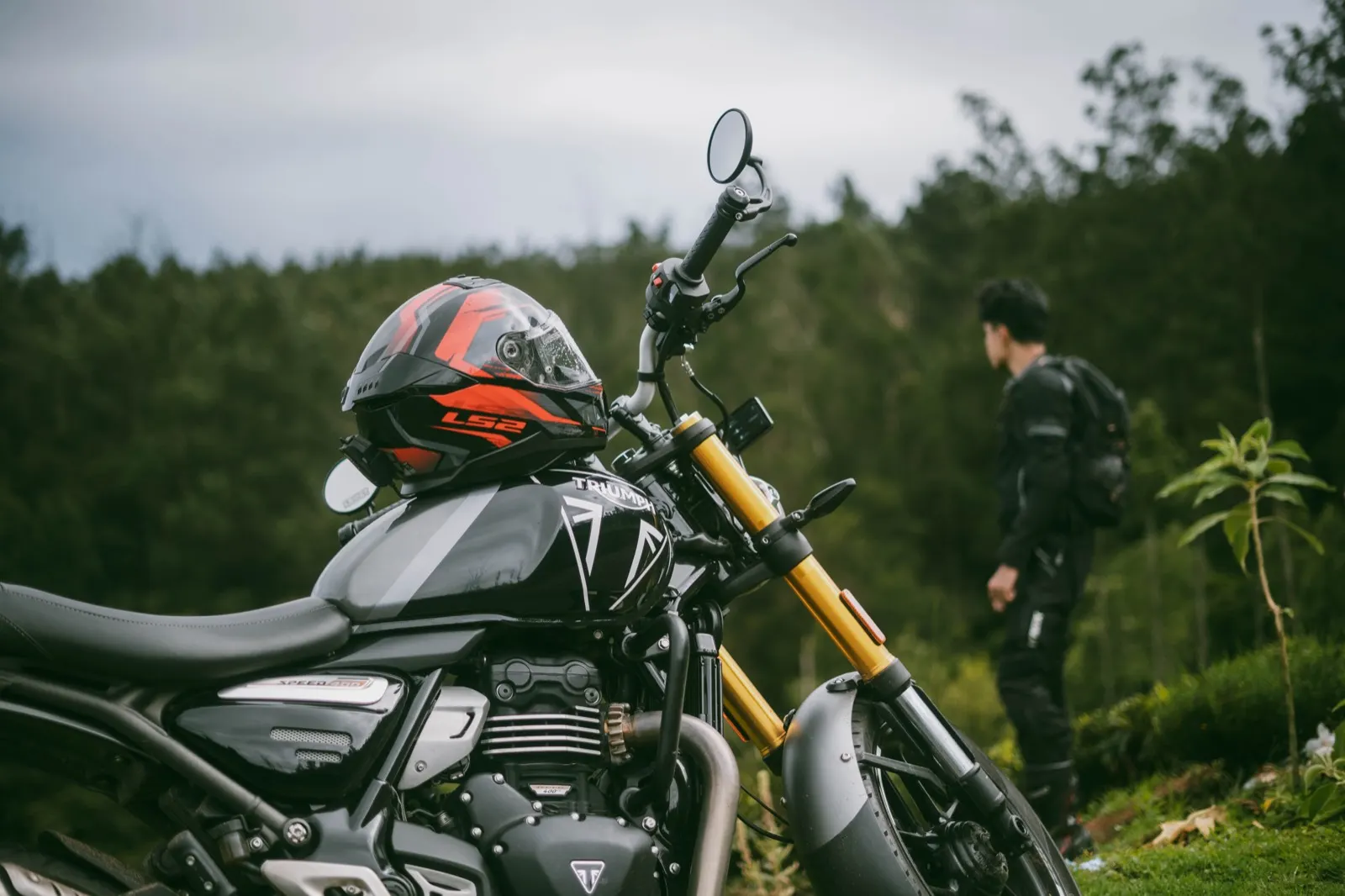 Red helmet hanging on a Triumph in the foreground while the rider stands looking over a forest valley